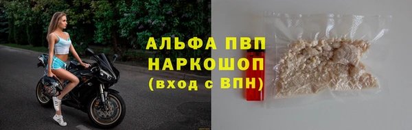 мяу мяу мука Баксан