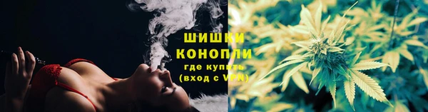 мяу мяу мука Баксан
