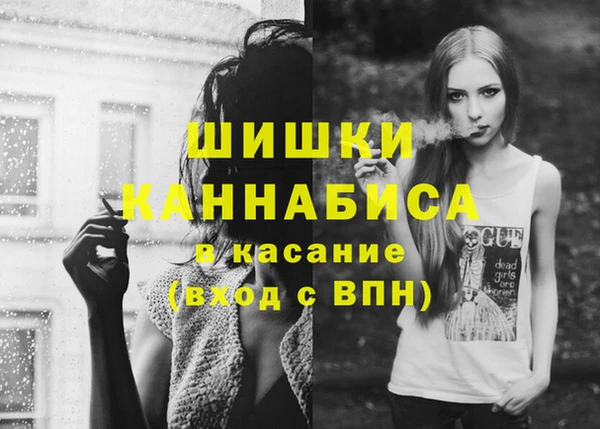 мяу мяу мука Баксан